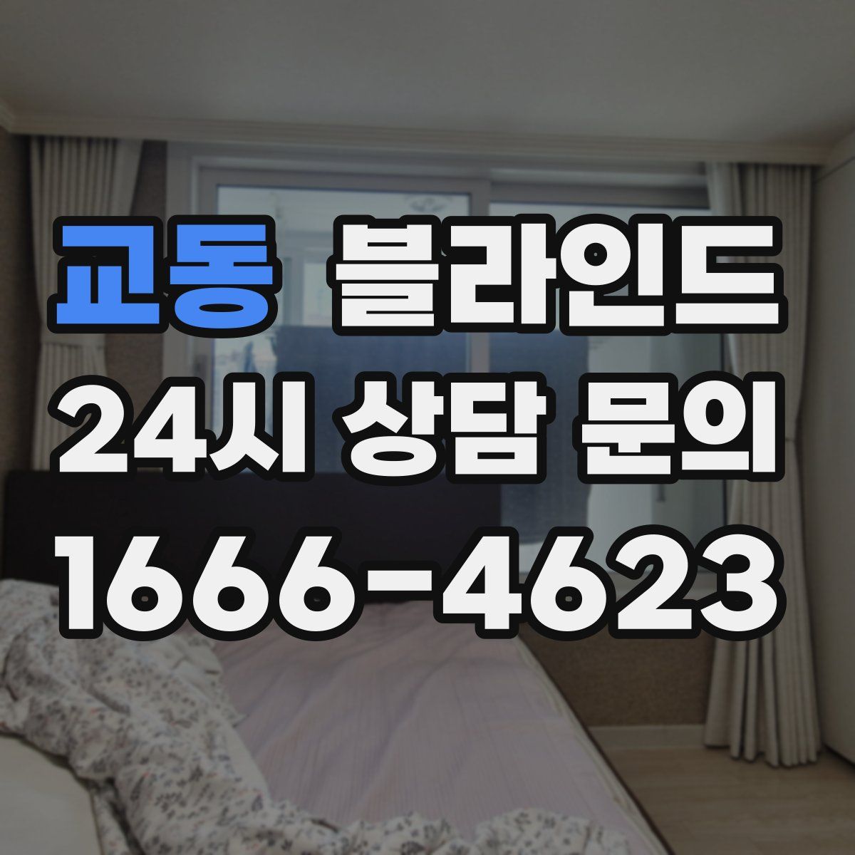 교동 블라인드