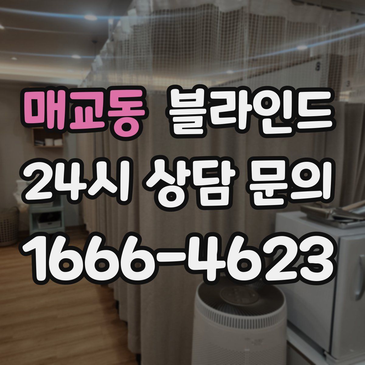 매교동 블라인드