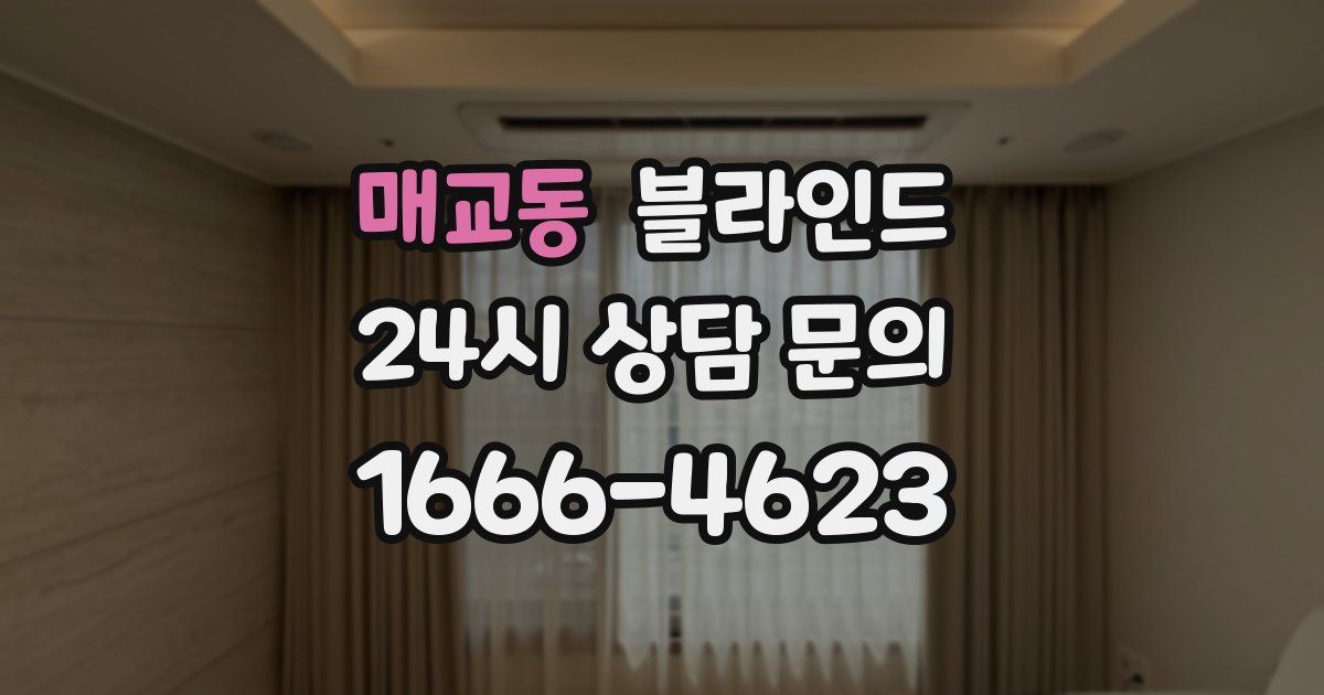매교동 블라인드