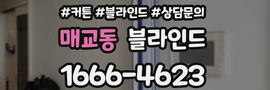 매교동 블라인드