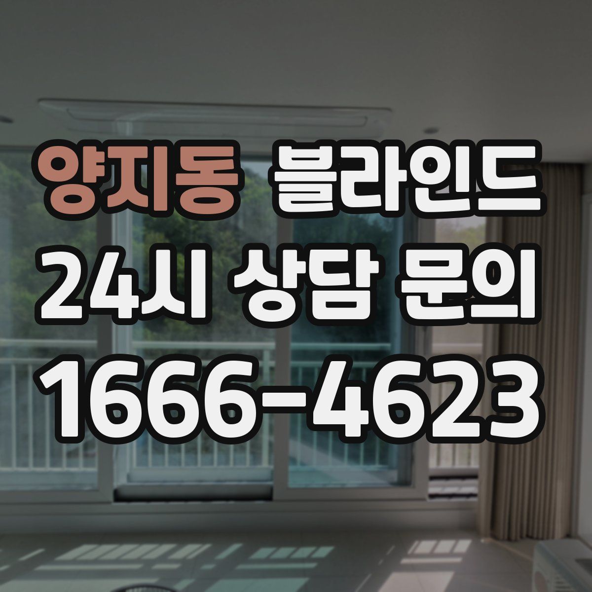 양지동 블라인드
