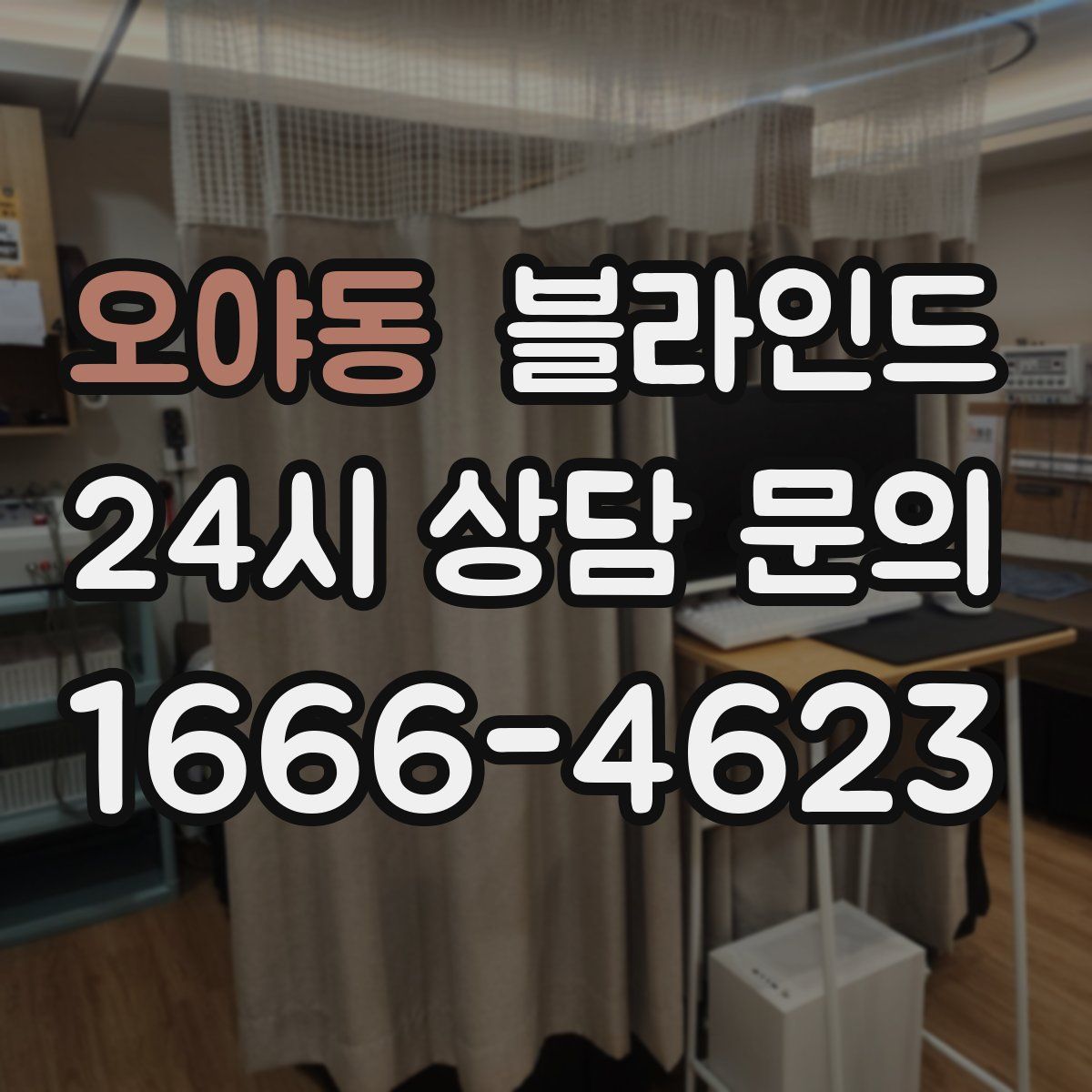 오야동 블라인드