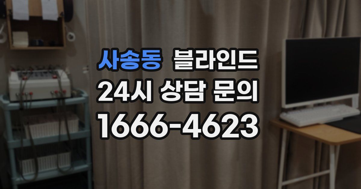 사송동 블라인드