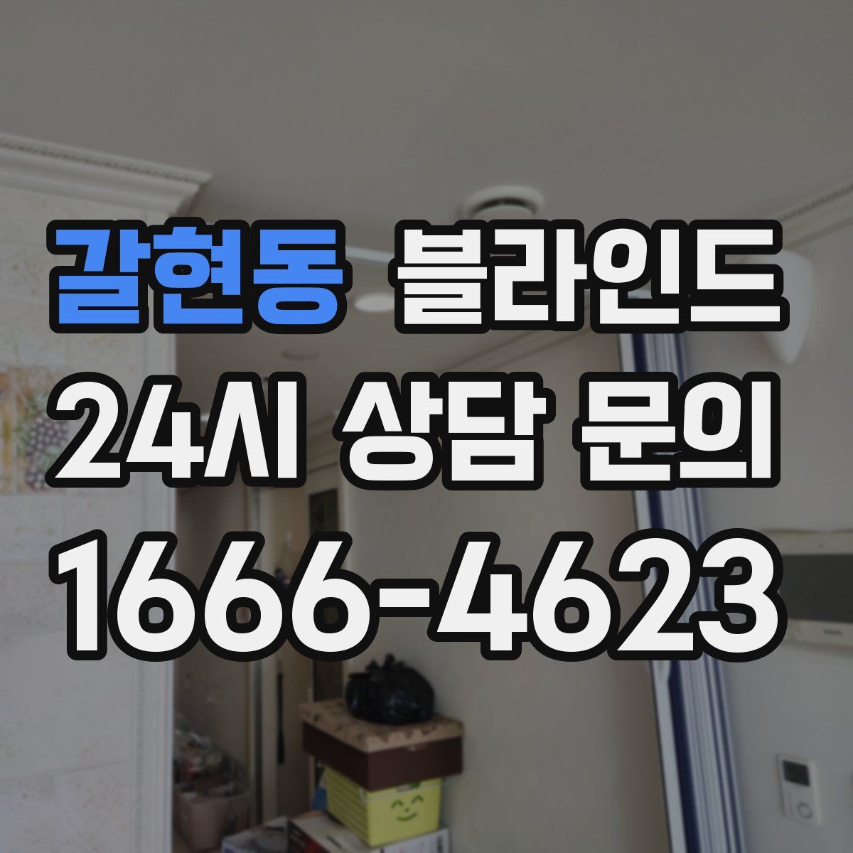 갈현동 블라인드