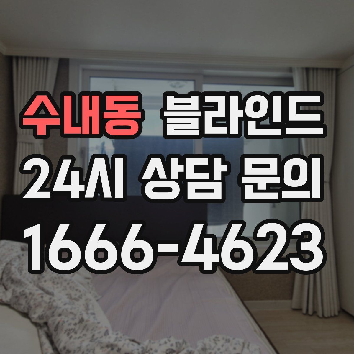 수내동 블라인드