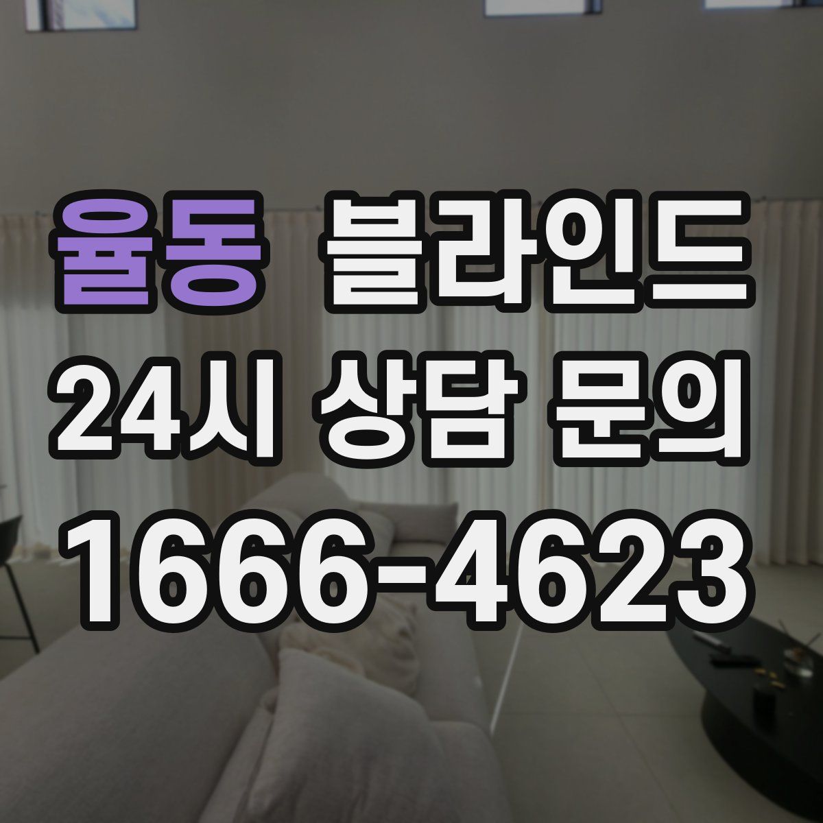 율동 블라인드