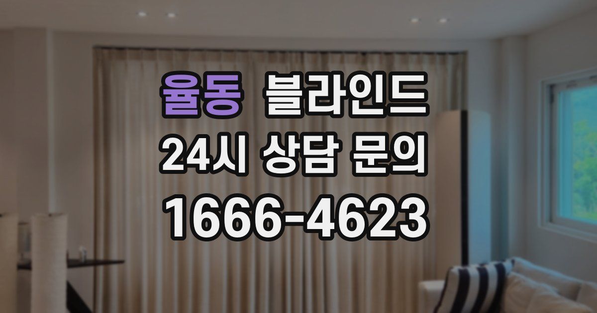 율동 블라인드