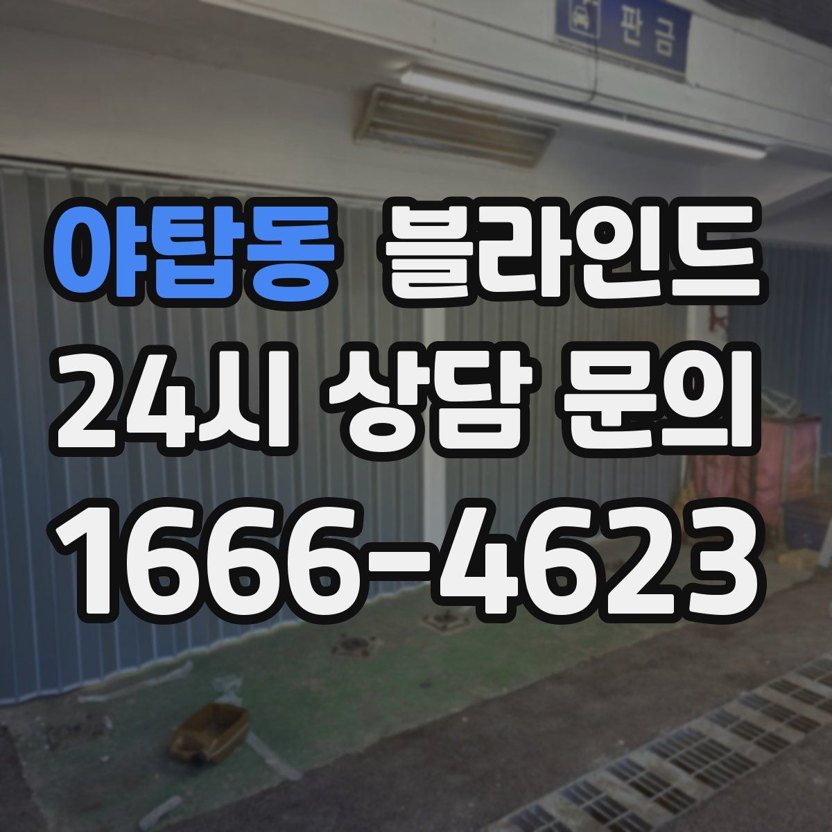 야탑동 블라인드