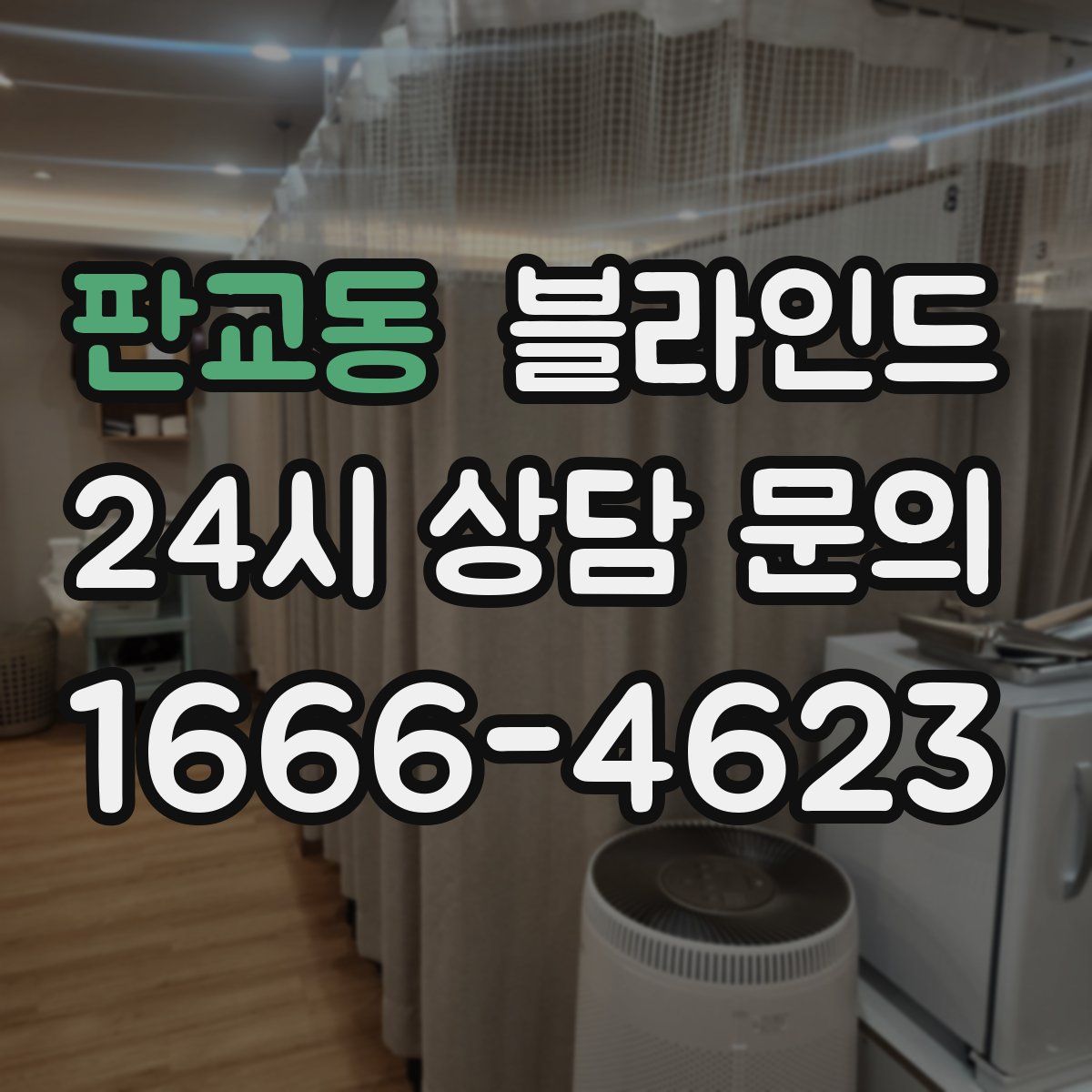 판교동 블라인드