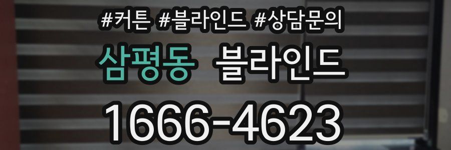 삼평동 블라인드