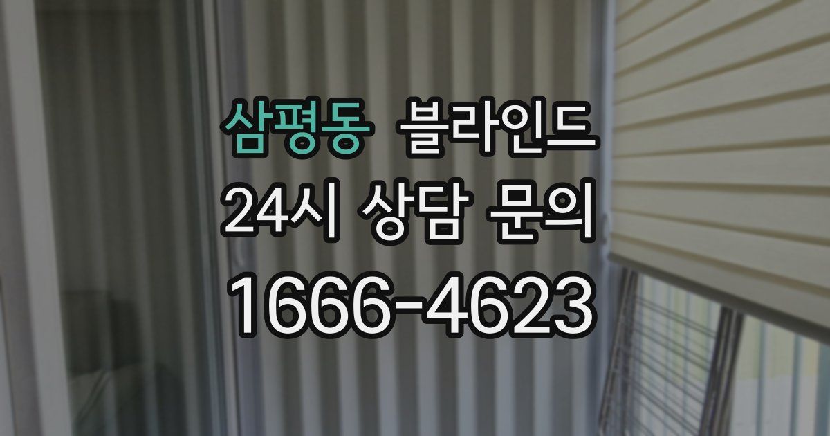 삼평동 블라인드