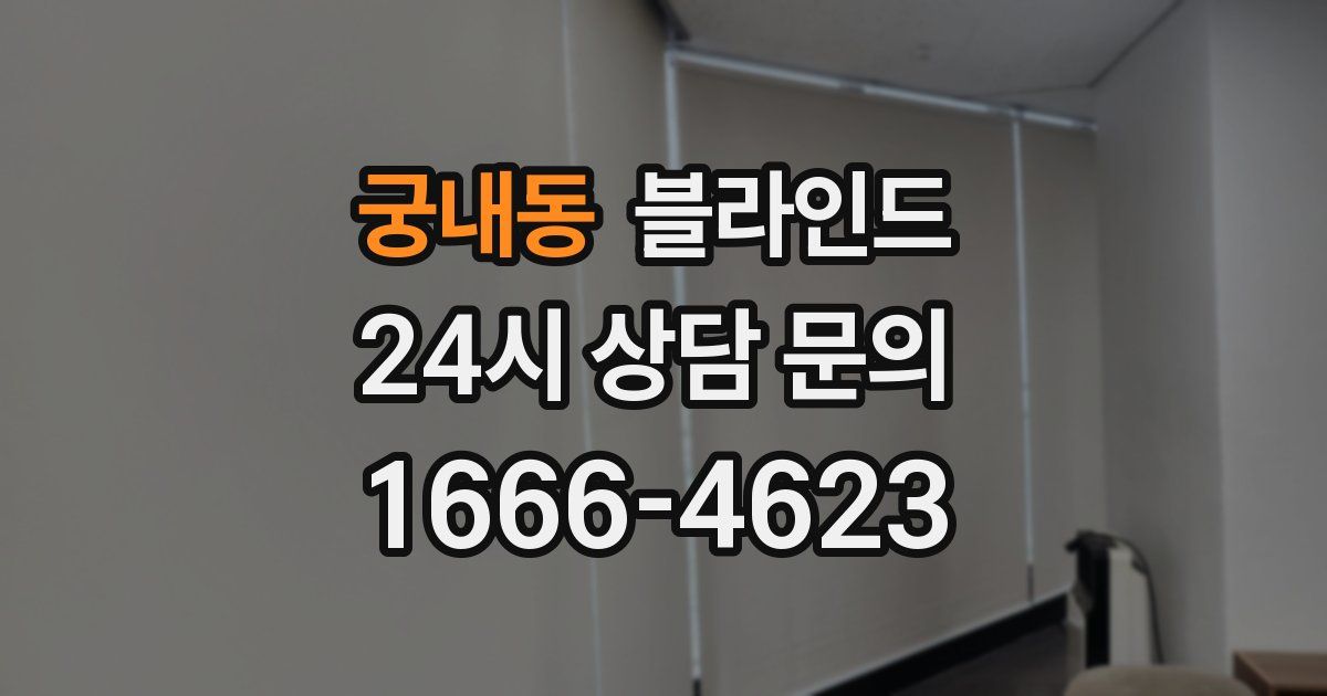 궁내동 블라인드