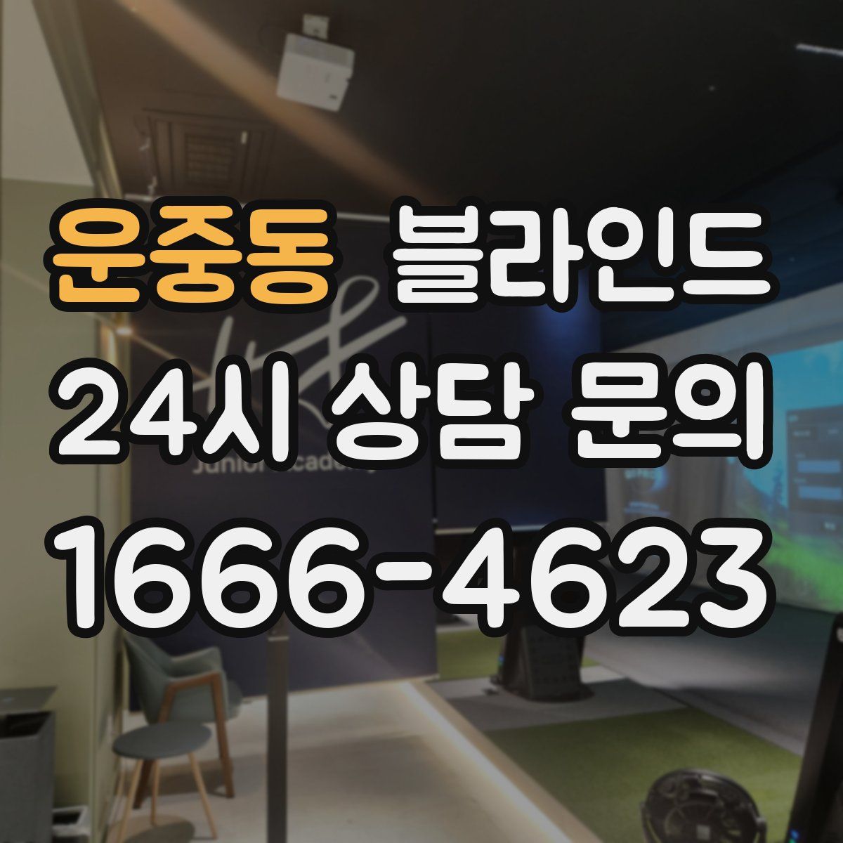 운중동 블라인드