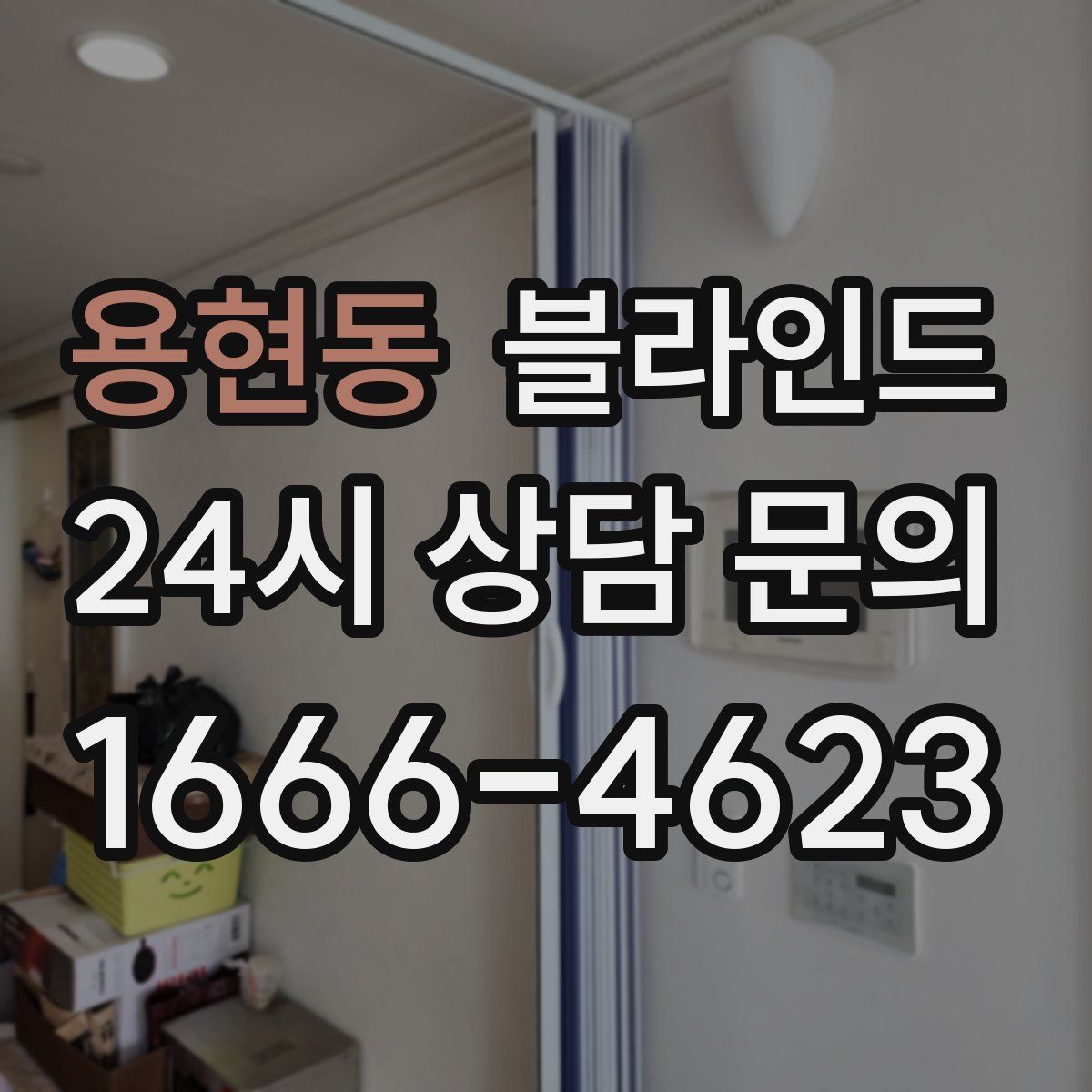 용현동 블라인드