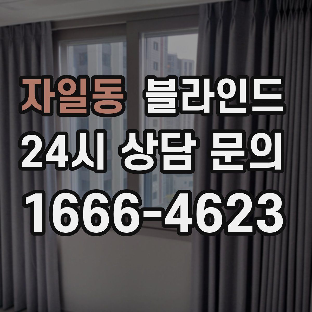 자일동 블라인드