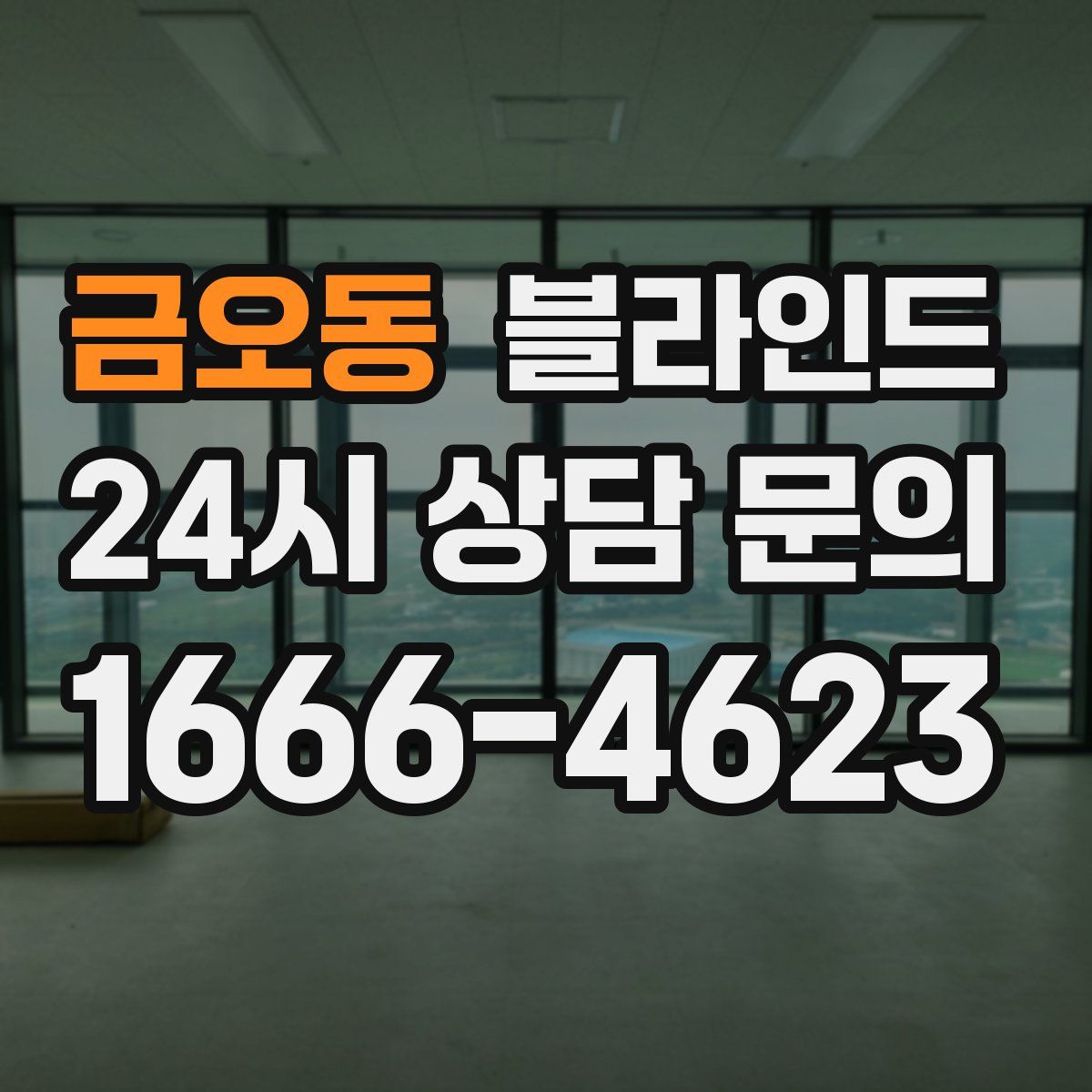 금오동 블라인드
