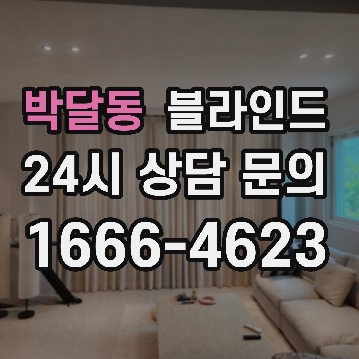 박달동 블라인드