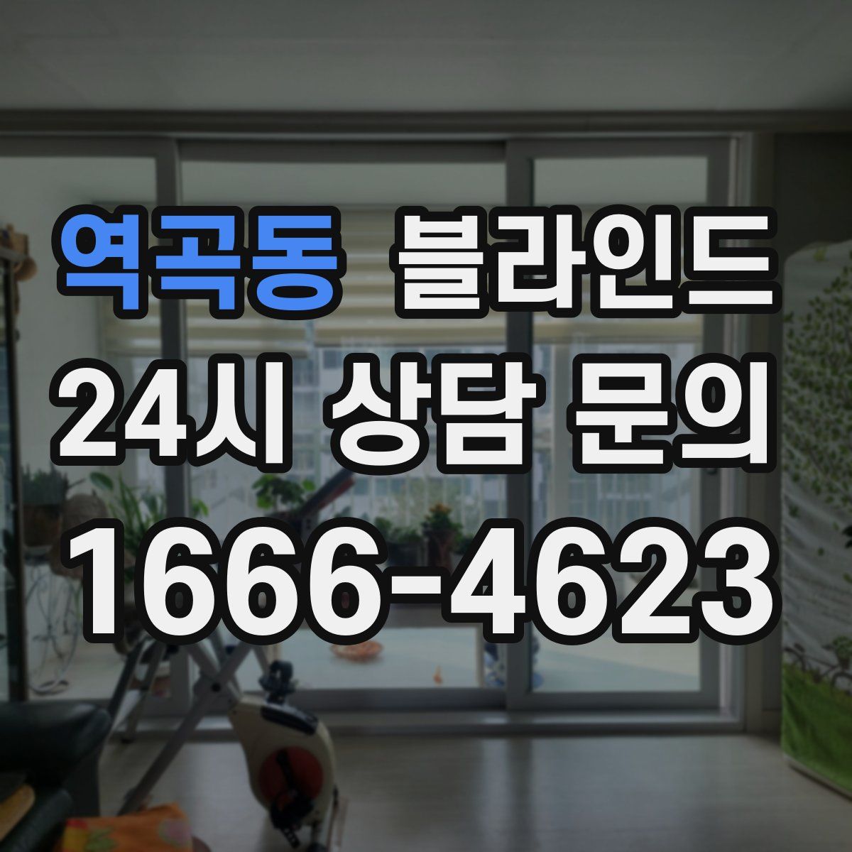 역곡동 블라인드