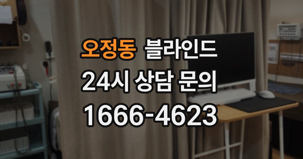 오정동 블라인드
