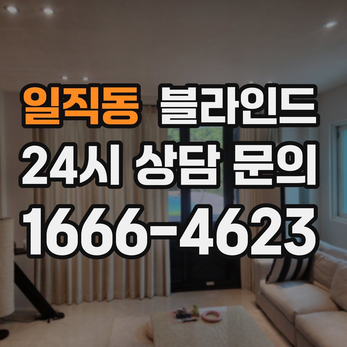 일직동 블라인드