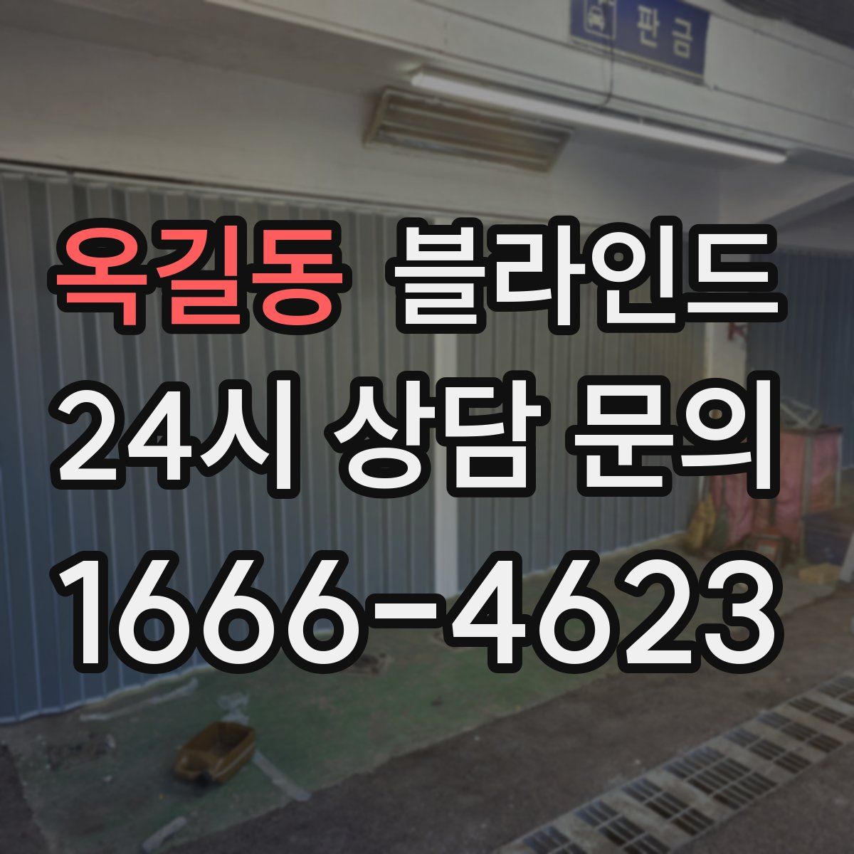옥길동 블라인드