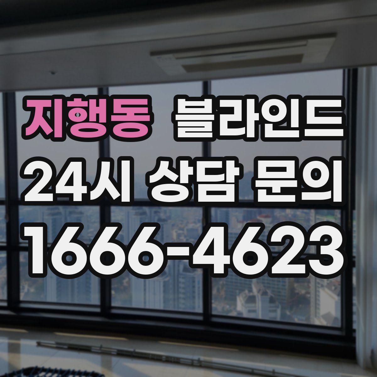 지행동 블라인드