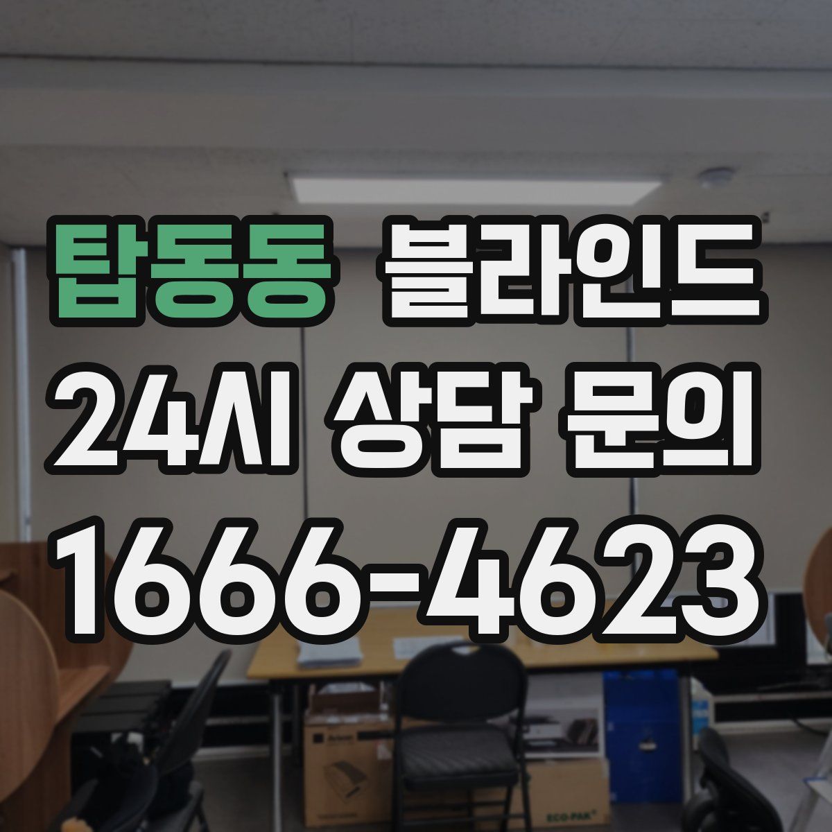 탑동동 블라인드