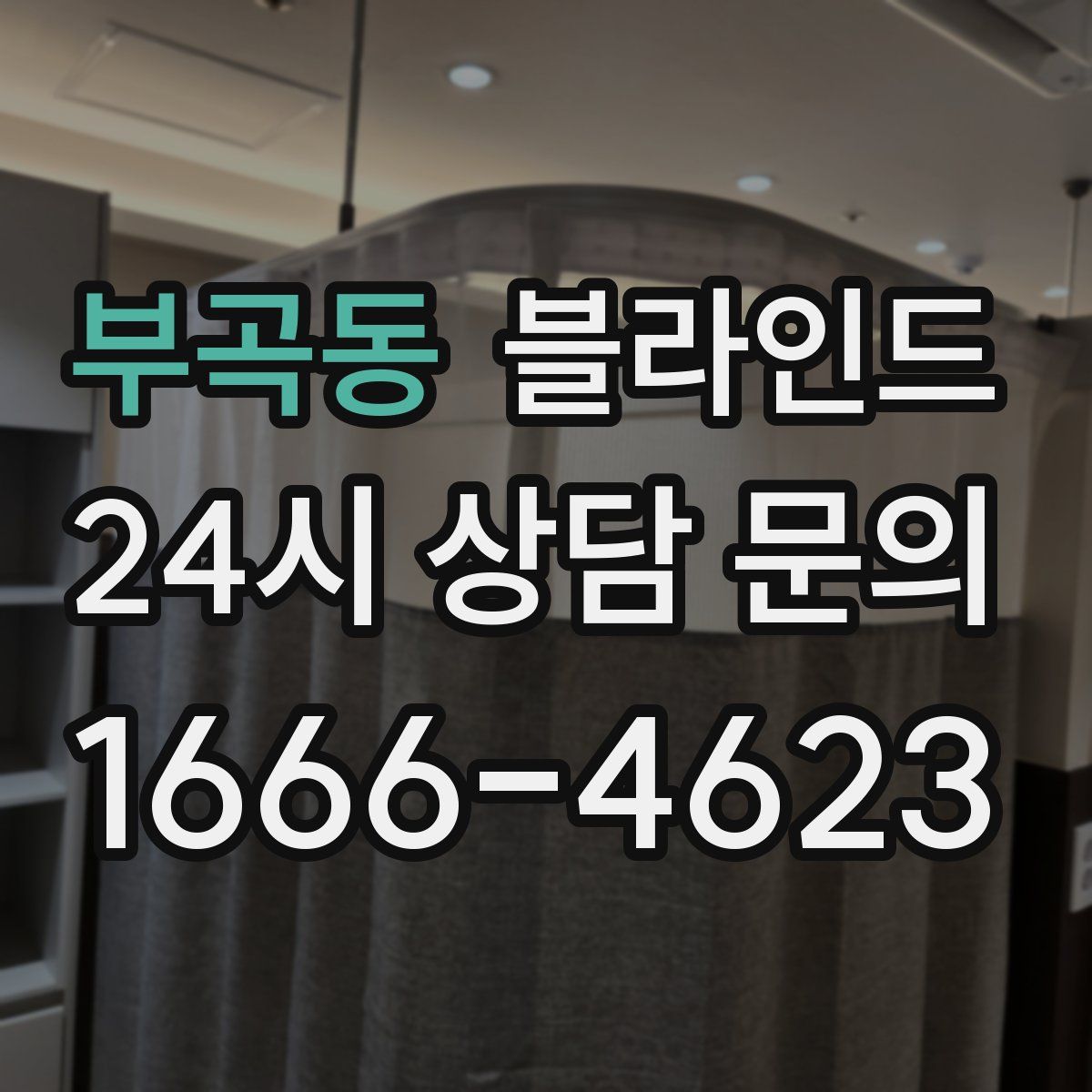 부곡동 블라인드