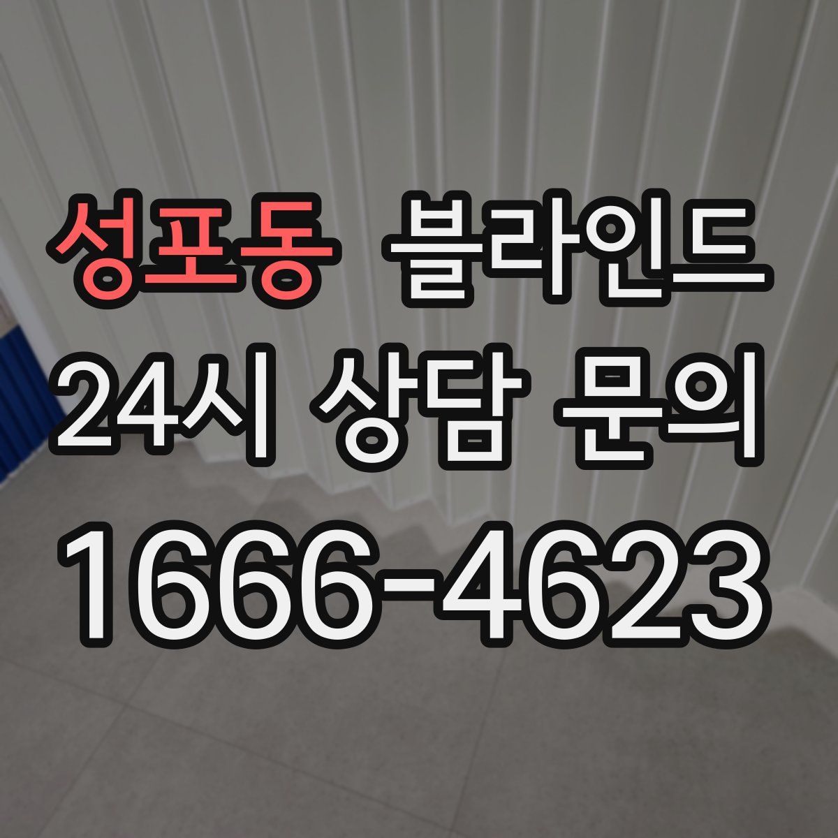 성포동 블라인드