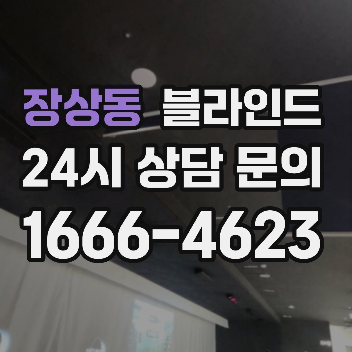 장상동 블라인드