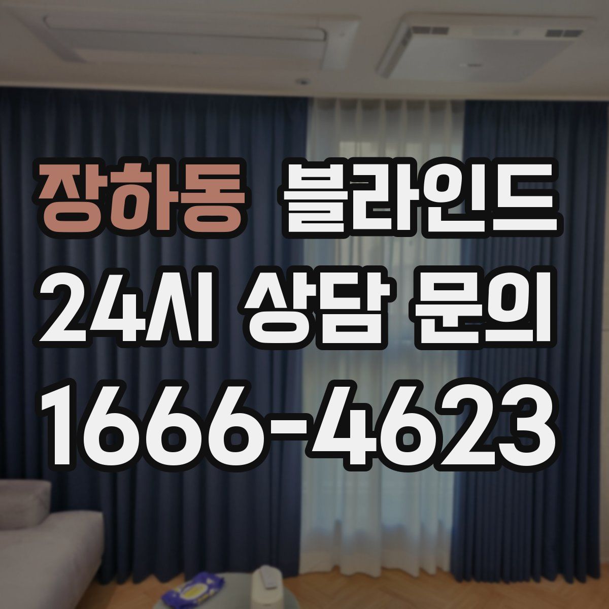 장하동 블라인드