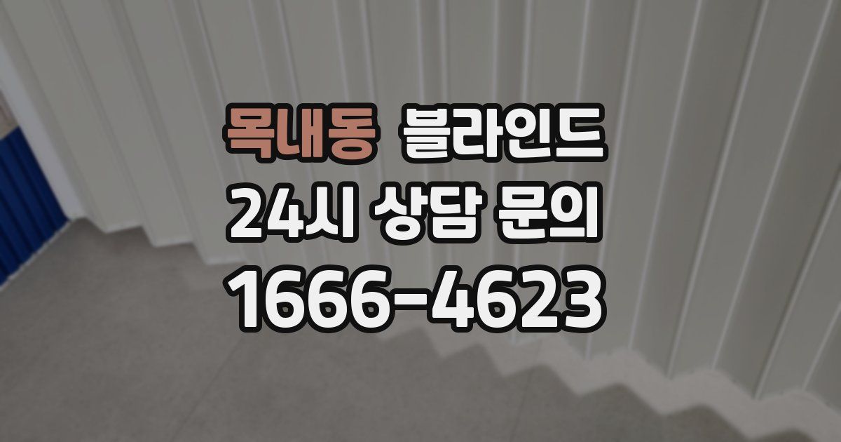 목내동 블라인드