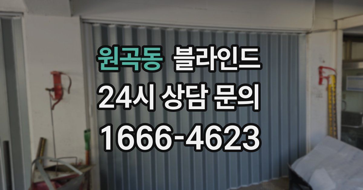원곡동 블라인드