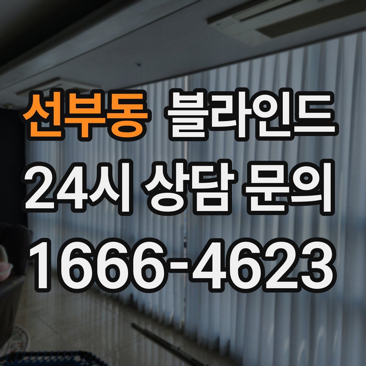 선부동 블라인드