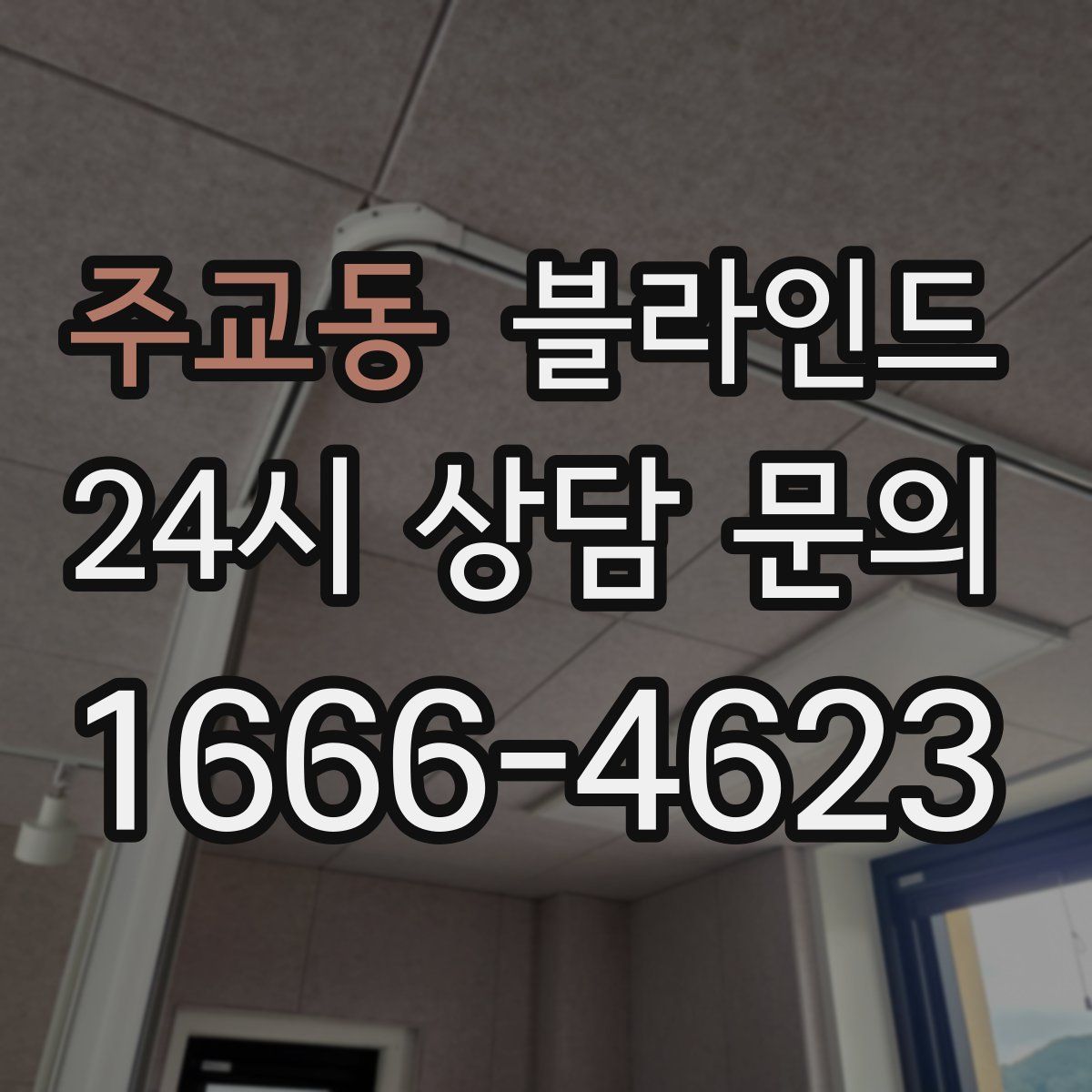 주교동 블라인드