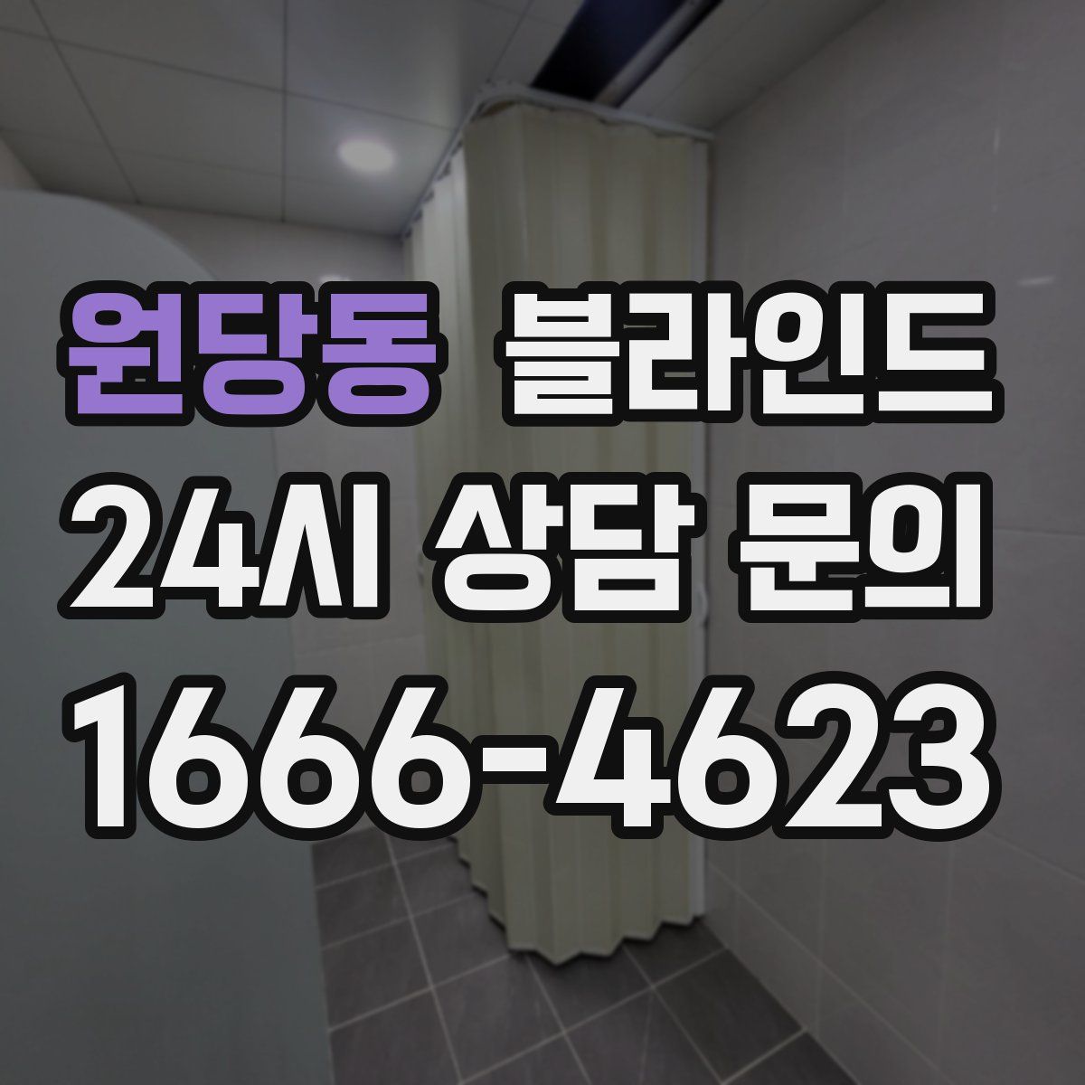 원당동 블라인드