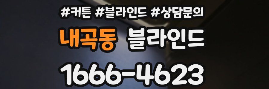 내곡동 블라인드