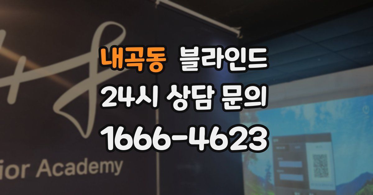 내곡동 블라인드