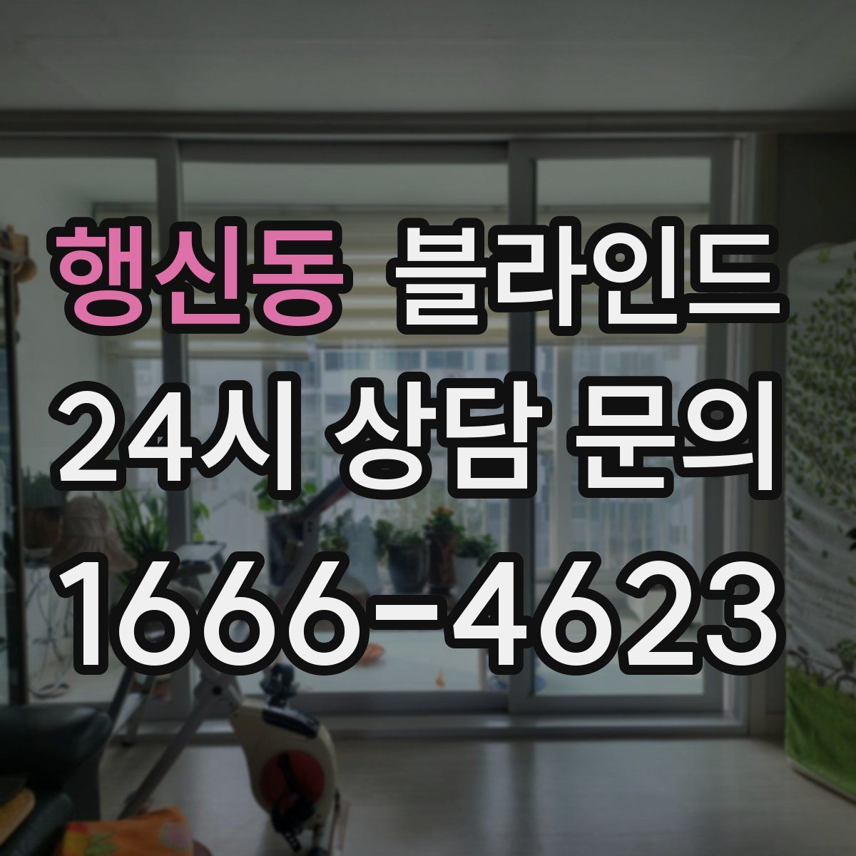 행신동 블라인드
