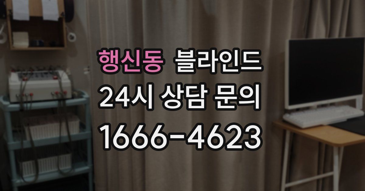 행신동 블라인드
