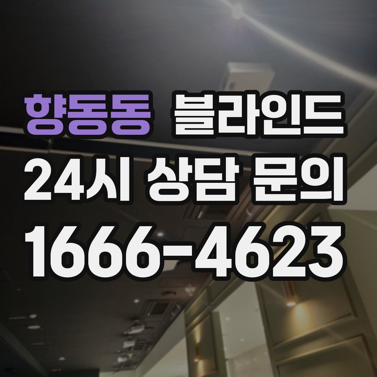 향동동 블라인드