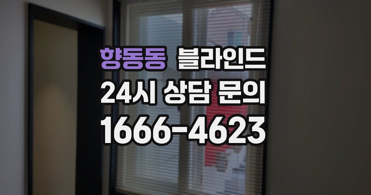향동동 블라인드