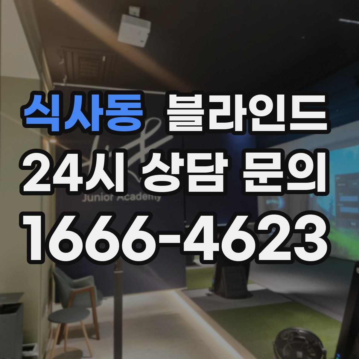 식사동 블라인드