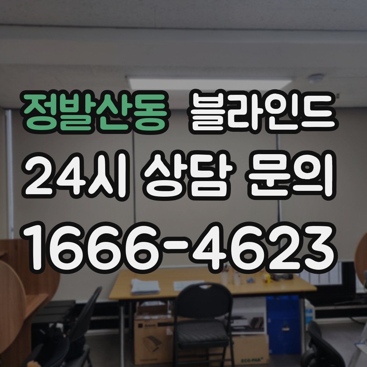정발산동 블라인드