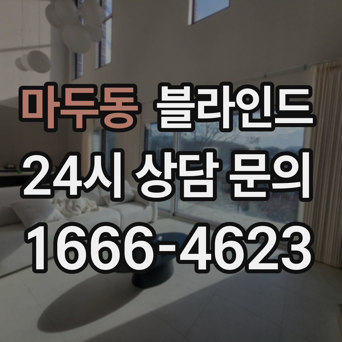 마두동 블라인드