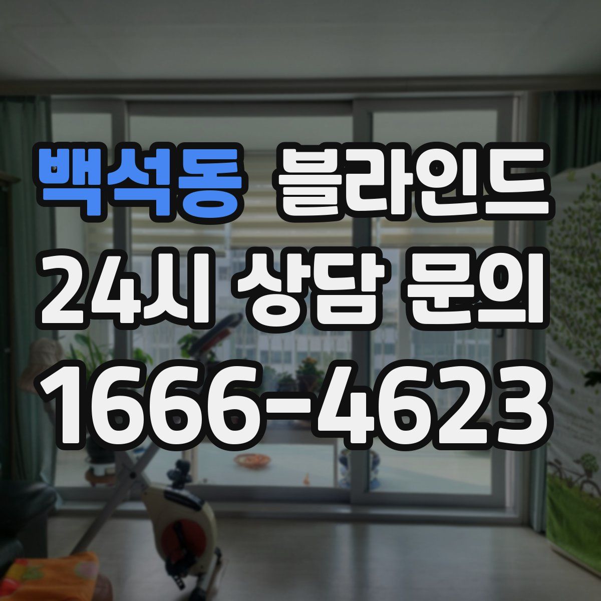 백석동 블라인드