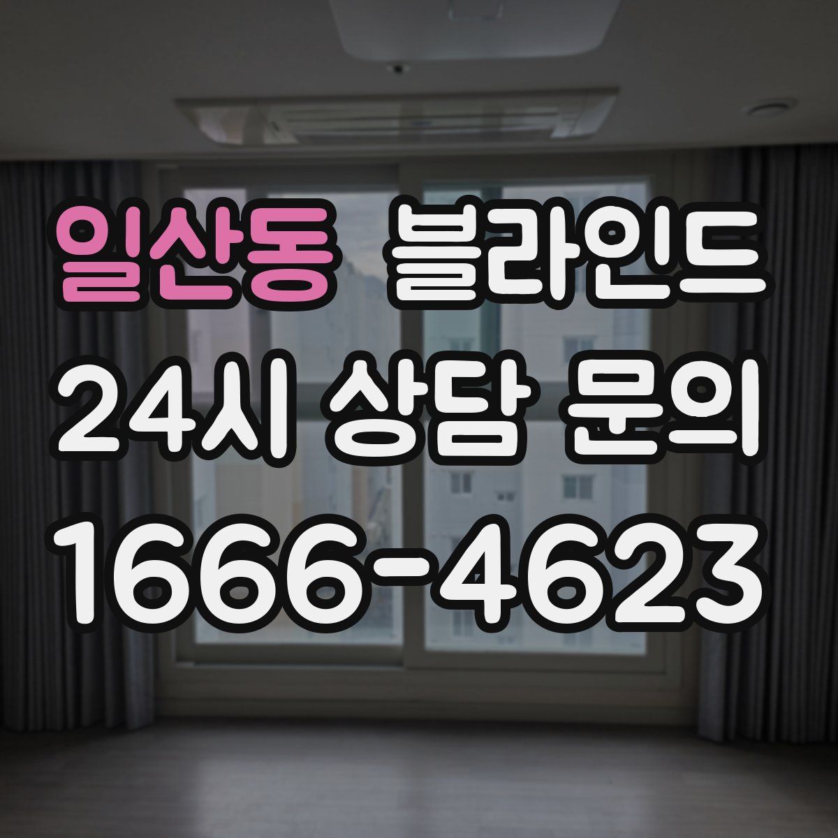 일산동 블라인드