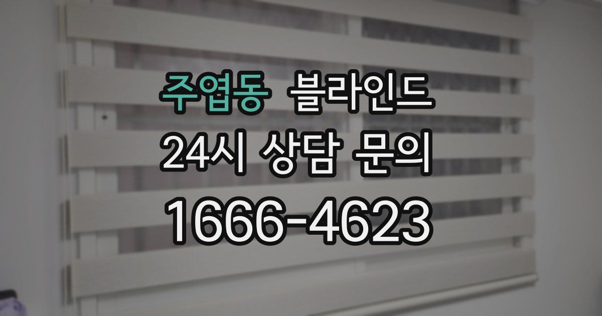 주엽동 블라인드
