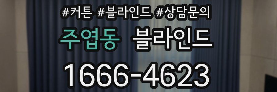 주엽동 블라인드