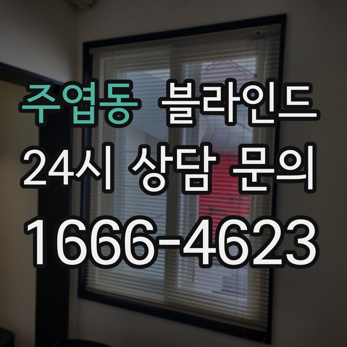 주엽동 블라인드